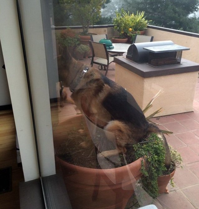 Bad Days Happen (23 pics)