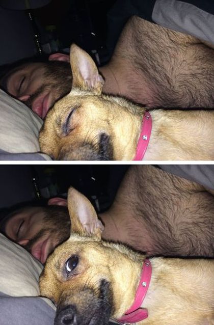 Daily Pictures. Part 1 (75 pics)