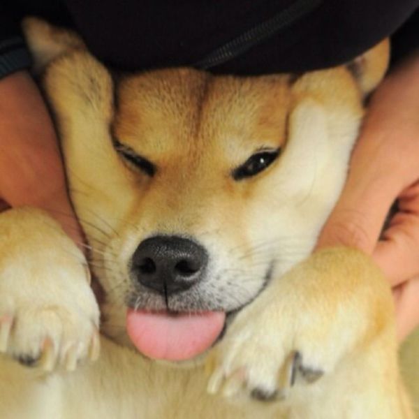 Daily Pictures. Part 2 (74 pics)