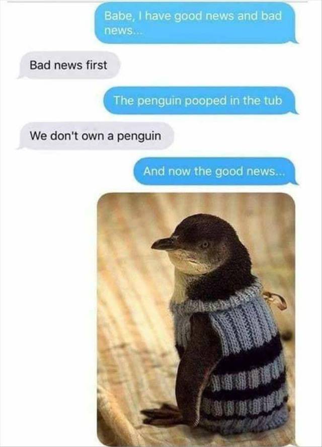 Daily Pictures. Part 2 (74 pics)