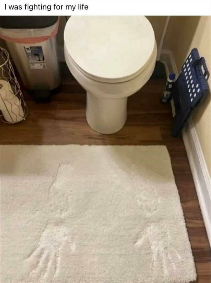 Daily Pictures. Part 2 (74 pics)