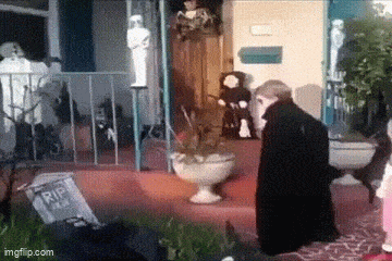 Acid GIFs, March 6 (25 gifs)