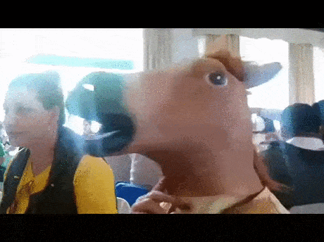 Acid GIFs, March 6 (25 gifs)