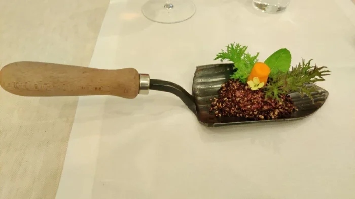 Crazy Food Serving (18 pics)