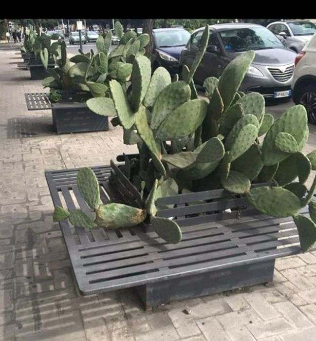 Awful Constructions (23 pics)