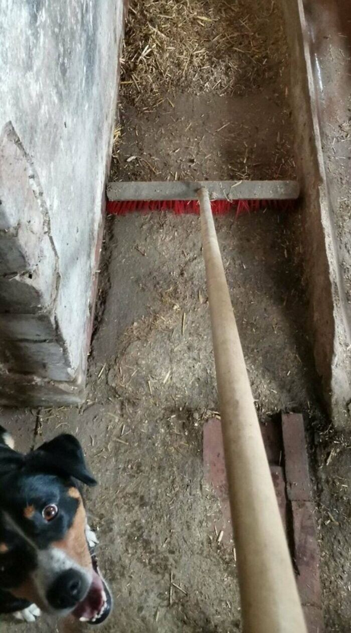 Photos For Perfectionists (21 pics)
