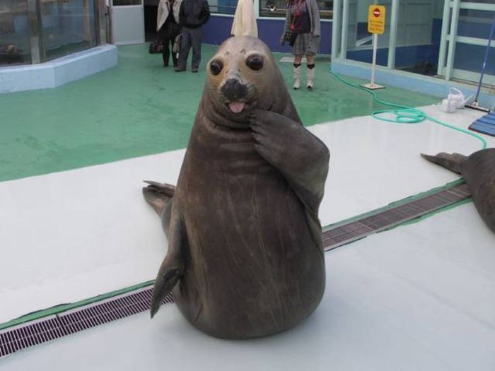 Daily Pictures. Part 1 (70 pics)