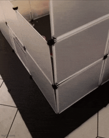 Acid GIFs, March 9 (25 gifs)