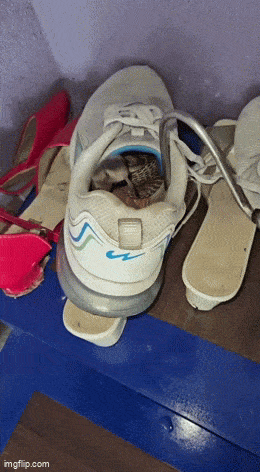 Acid GIFs, March 9 (25 gifs)