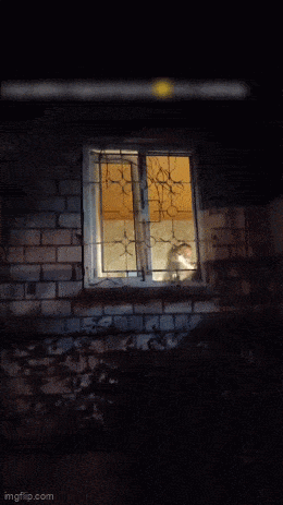 Acid GIFs, March 9 (25 gifs)