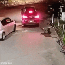 Acid GIFs, March 9 (25 gifs)