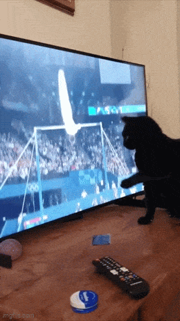 Acid GIFs, March 9 (25 gifs)