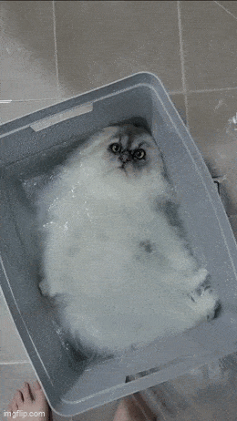 Acid GIFs, March 9 (25 gifs)