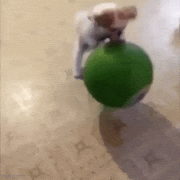 Acid GIFs, March 9 (25 gifs)