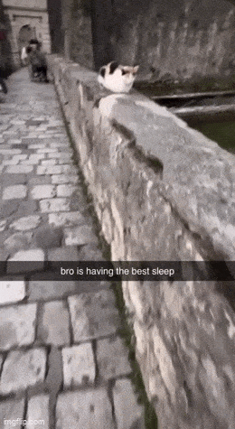 Acid GIFs, March 9 (25 gifs)