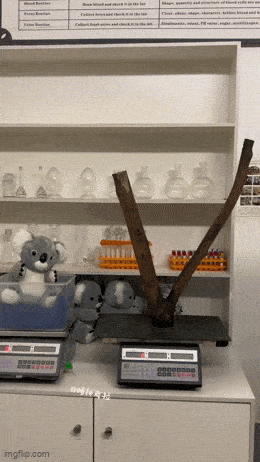 Acid GIFs, March 9 (25 gifs)