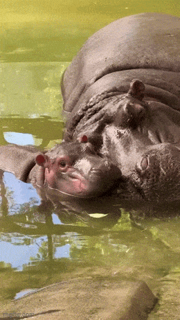 Acid GIFs, March 9 (25 gifs)