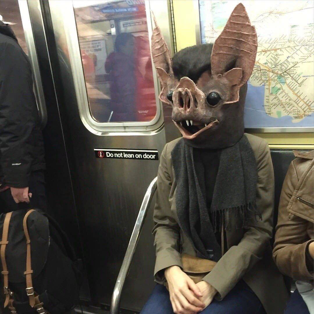 Daily Pictures. Part 1 (78 pics)
