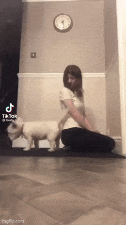 Acid GIFs, March 10 (25 gifs)