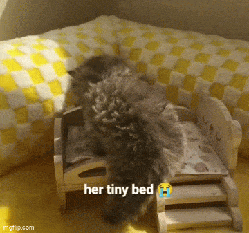 Acid GIFs, March 10 (25 gifs)