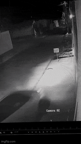 Acid GIFs, March 10 (25 gifs)