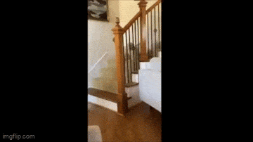 Acid GIFs, March 10 (25 gifs)