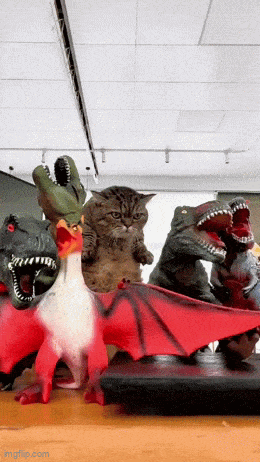 Acid GIFs, March 10 (25 gifs)