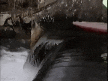 Acid GIFs, March 10 (25 gifs)