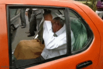 Acid GIFs, March 10 (25 gifs)