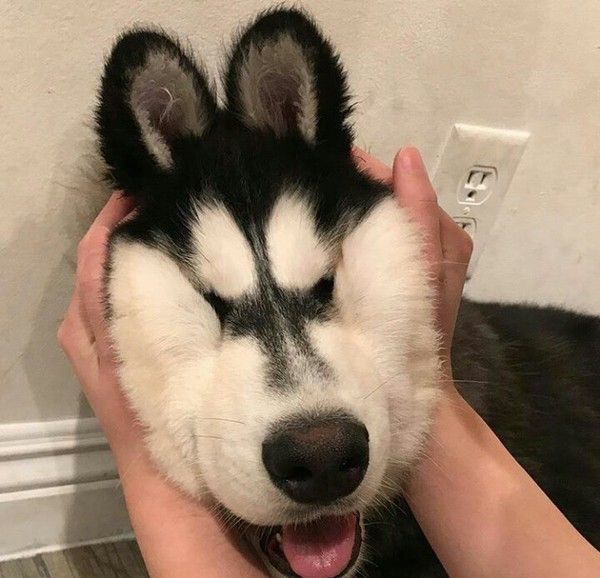 Daily Pictures. Part 1 (72 pics)