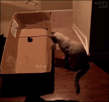 Acid GIFs, March 11 (25 gifs)