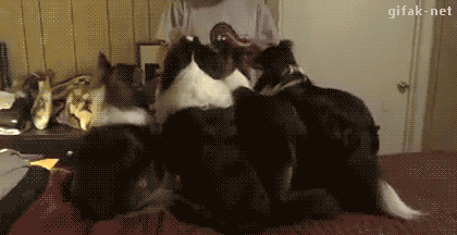Acid GIFs, March 11 (25 gifs)