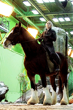 Acid GIFs, March 11 (25 gifs)