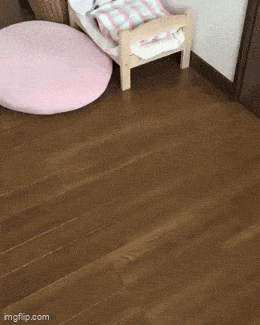 Acid GIFs, March 11 (25 gifs)