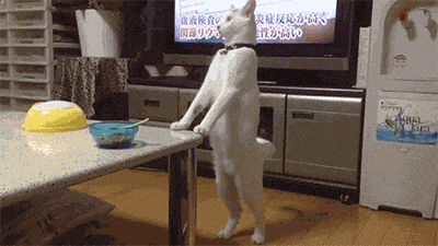 Acid GIFs, March 11 (25 gifs)
