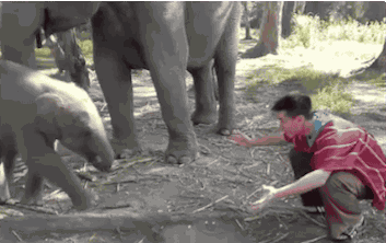 Acid GIFs, March 11 (25 gifs)