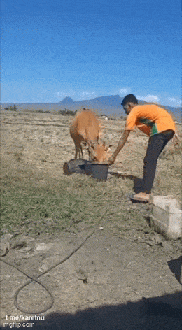 Acid GIFs, March 11 (25 gifs)