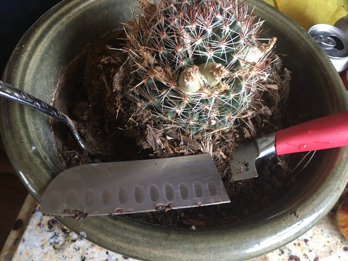 Bad Days Happen (27 pics)