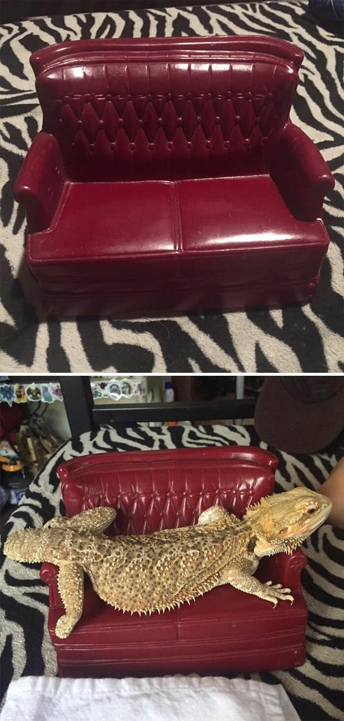 Odd Finds In Thrift Shops (25 pics)