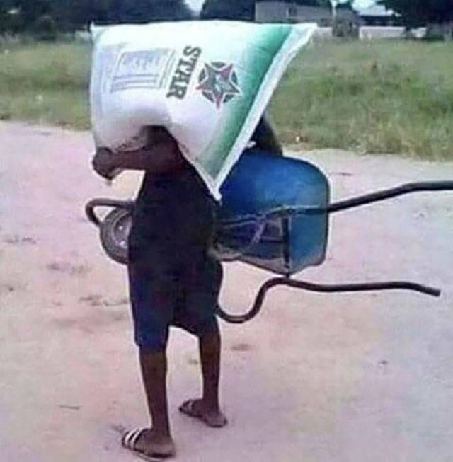 Daily Pictures. Part 1 (69 pics)