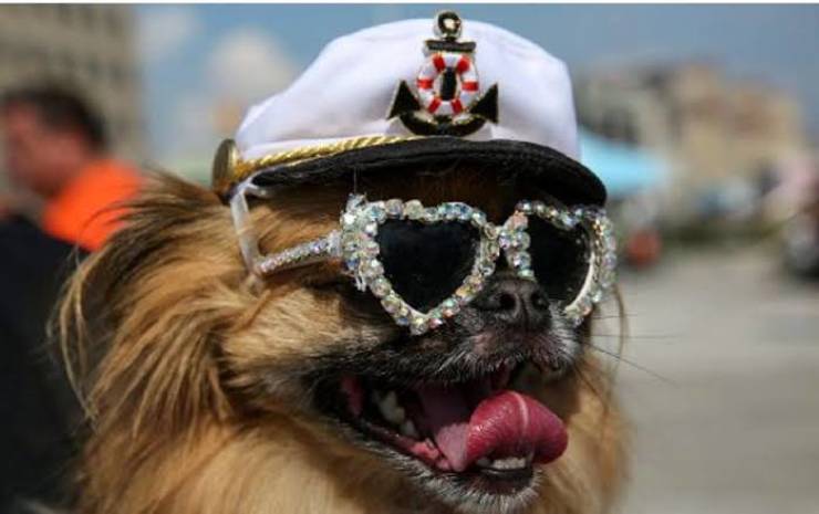 Daily Pictures. Part 1 (69 pics)