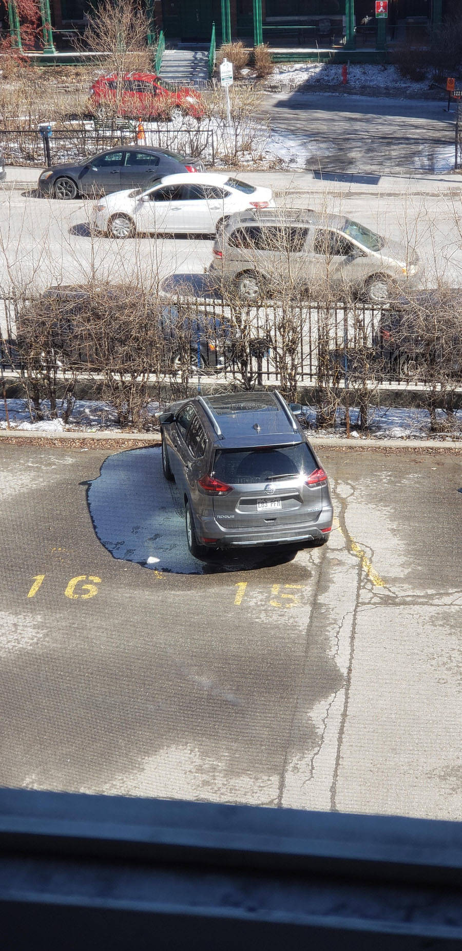 Daily Pictures. Part 1 (69 pics)