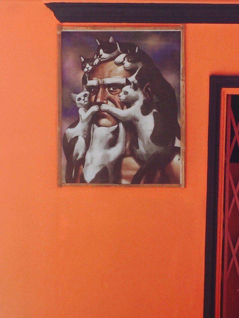 Daily Pictures. Part 1 (69 pics)