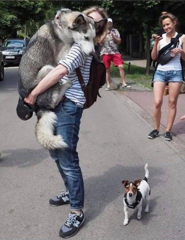 Daily Pictures. Part 1 (69 pics)