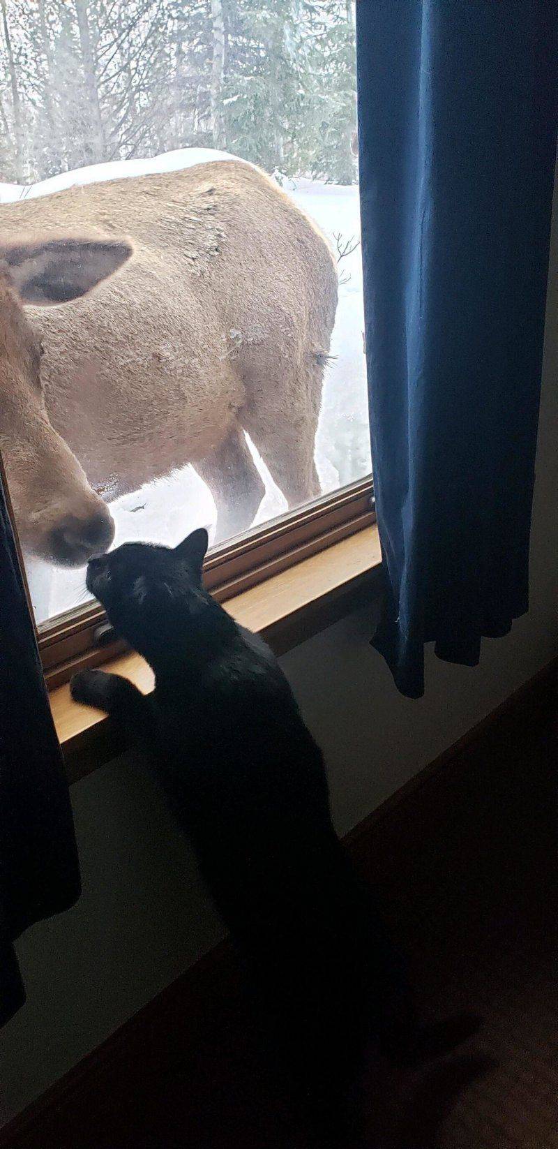 Daily Pictures. Part 1 (69 pics)