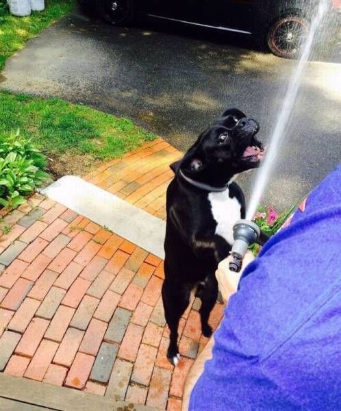 Daily Pictures. Part 1 (69 pics)