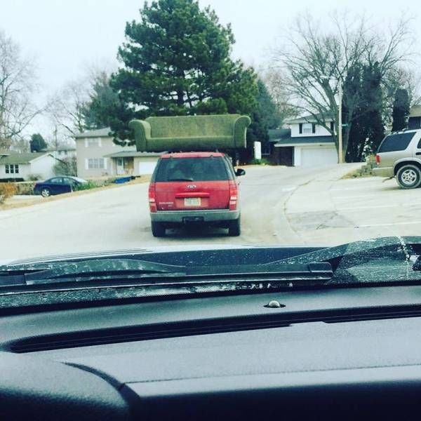 Daily Pictures. Part 2 (68 pics)