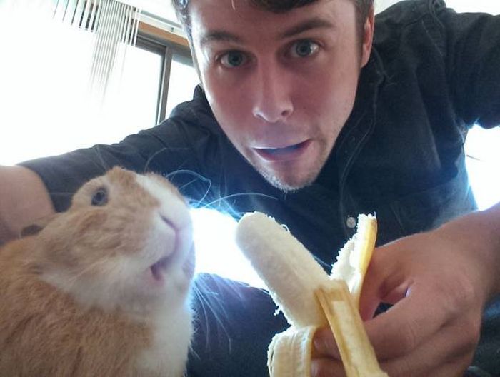 Daily Pictures. Part 2 (68 pics)