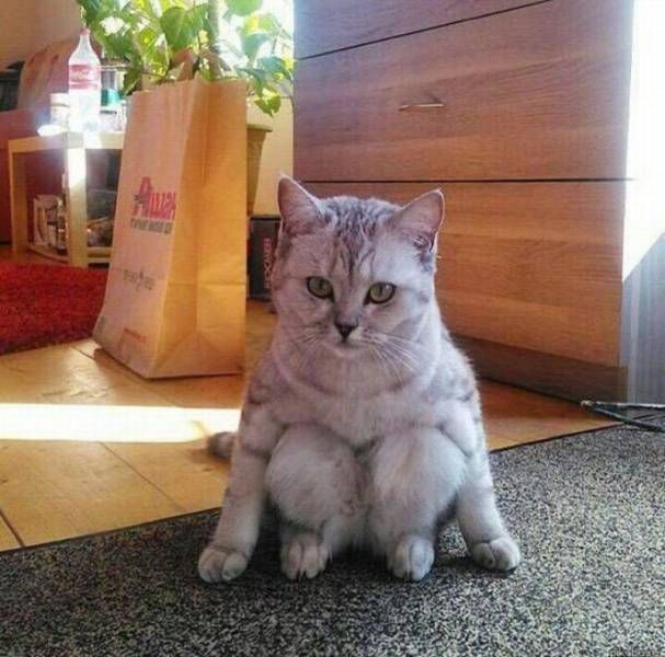 Daily Pictures. Part 1 (69 pics)