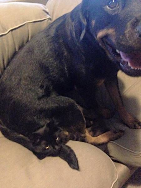 Daily Pictures. Part 1 (69 pics)